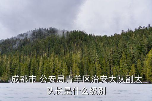 成都公安