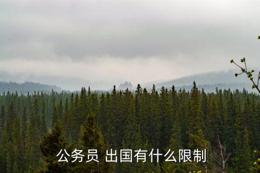  公務(wù)員 出國有什么限制