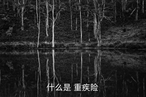 什么是 重疾險