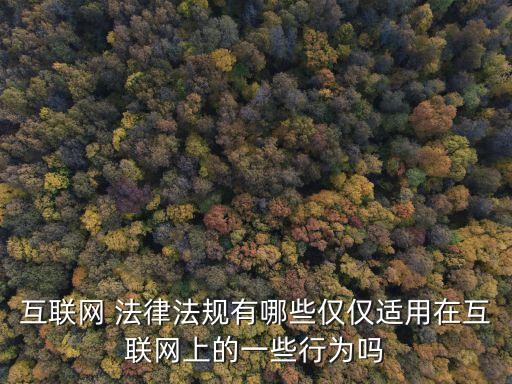 互聯(lián)網(wǎng) 法律法規(guī)有哪些僅僅適用在互聯(lián)網(wǎng)上的一些行為嗎