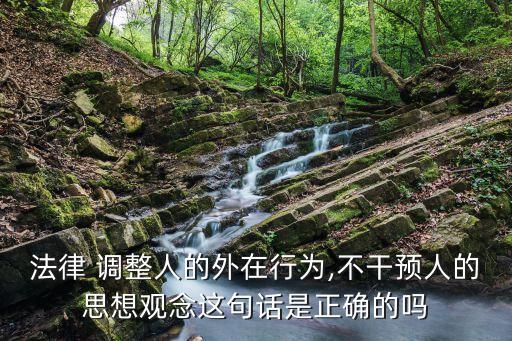 法律 調(diào)整人的外在行為,不干預(yù)人的思想觀念這句話是正確的嗎