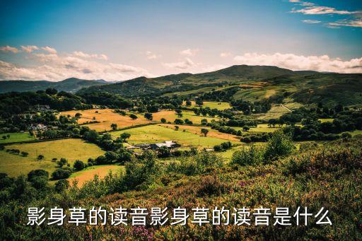 草草影