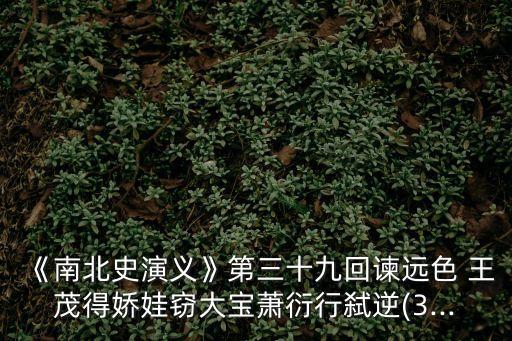 《南北史演義》第三十九回諫遠(yuǎn)色 王茂得嬌娃竊大寶蕭衍行弒逆(3...