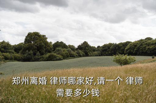 鄭州離婚 律師哪家好,請(qǐng)一個(gè) 律師需要多少錢