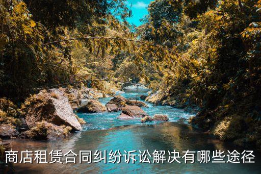 商店租賃合同糾紛訴訟解決有哪些途徑