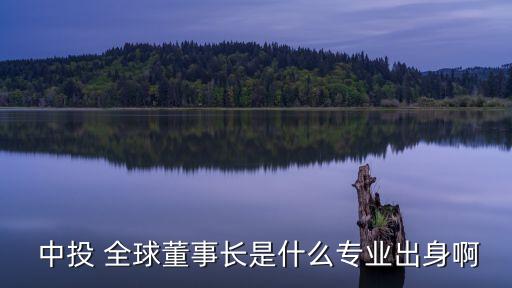 中投全球