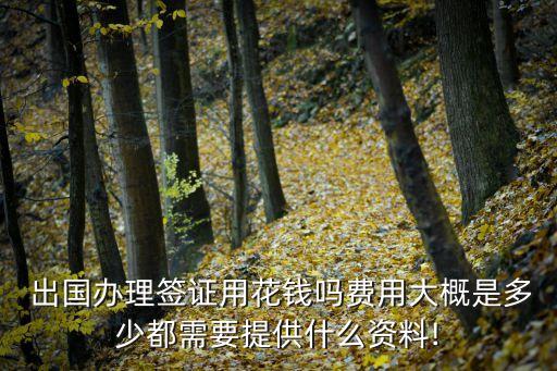 辦出國證要多少錢,出國簽證代辦機構(gòu)