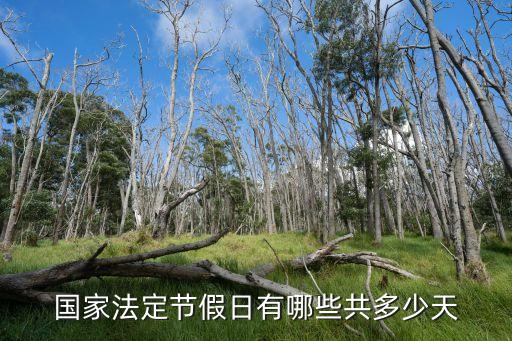 節(jié)日安排,天津市小學(xué)六一節(jié)日安排