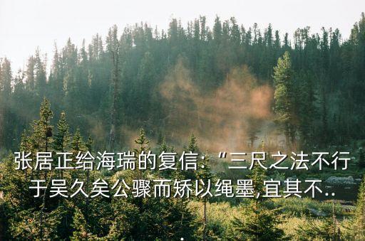 張居正給海瑞的復(fù)信:“三尺之法不行于吳久矣公驟而矯以繩墨,宜其不...