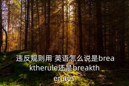 違反法律用英語怎么寫,法律的英語怎么寫