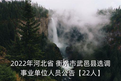 2022年河北省 衡水市武邑縣選調(diào)事業(yè)單位人員公告【22人】