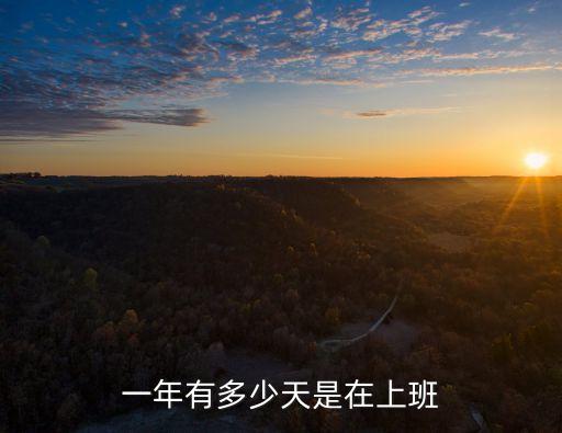 一年有多少天是在上班