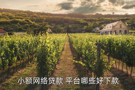 容易借錢(qián)的小額平臺(tái),借款1000元馬上放款