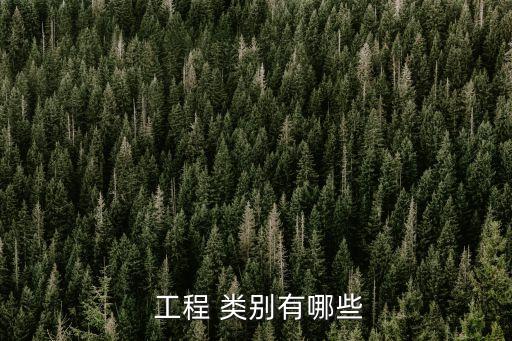 工程類別怎么填,市政基礎(chǔ)設(shè)施工程類別怎么填