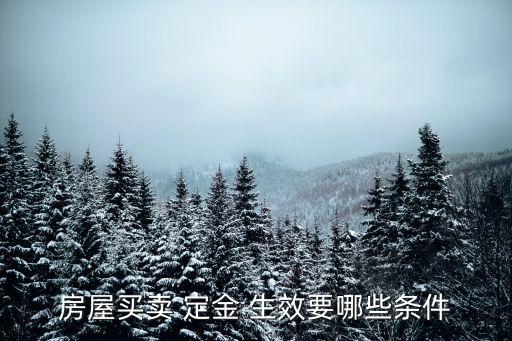 定金如何生效,定金合同的成立與生效