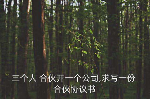 三個(gè)人 合伙開一個(gè)公司,求寫一份 合伙協(xié)議書