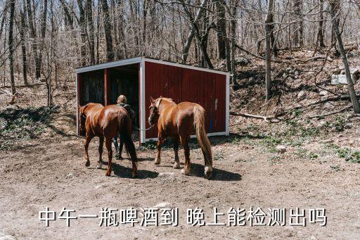  中午一瓶啤酒到 晚上能檢測出嗎