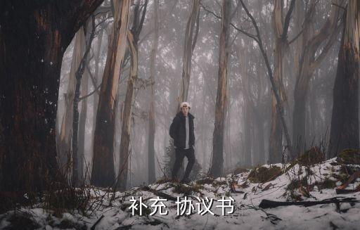 補充協(xié)議書,工期延期補充協(xié)議書