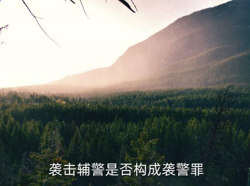 襲擊警察是什么罪,打架斗毆律師免費(fèi)咨詢