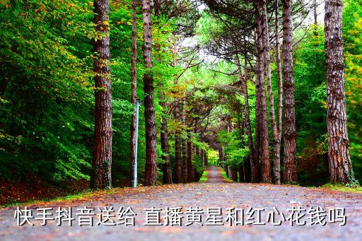 直播黃
