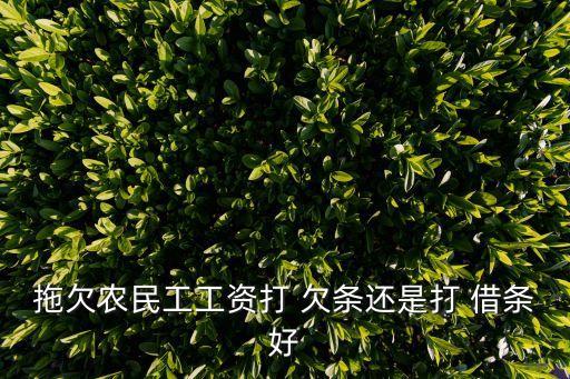 拖欠農(nóng)民工工資打 欠條還是打 借條好