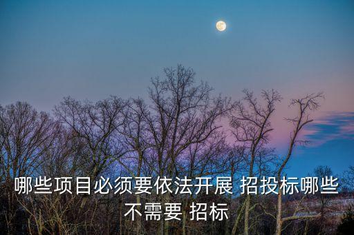 招投標(biāo)不招標(biāo)的情形,中航招標(biāo)網(wǎng)-電子招投標(biāo)平臺(tái)