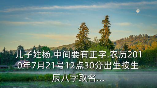 楊正武