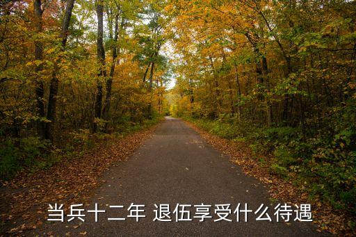  當(dāng)兵十二年 退伍享受什么待遇