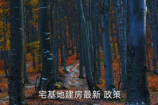  宅基地建房最新 政策