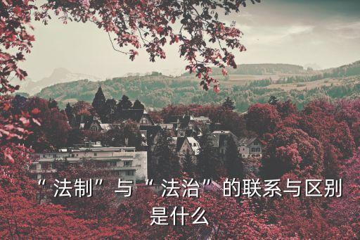 法治和法制
