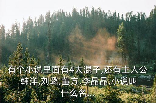 有個(gè)小說里面有4大混子,還有主人公 韓洋,劉璐,董方,李晶晶,小說叫什么名...