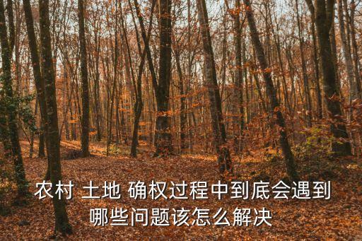  農(nóng)村 土地 確權(quán)過(guò)程中到底會(huì)遇到哪些問(wèn)題該怎么解決