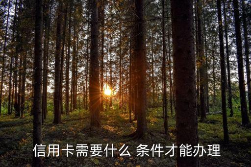  信用卡需要什么 條件才能辦理