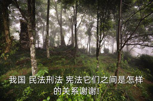 憲法和民法是包含關(guān)系嗎,試述民法與憲法的關(guān)系