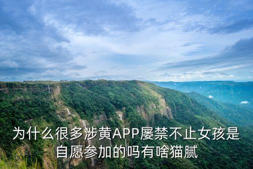 免費(fèi)的黃色錄像,老式錄像帶播放
