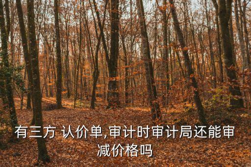 有三方 認(rèn)價單,審計時審計局還能審減價格嗎