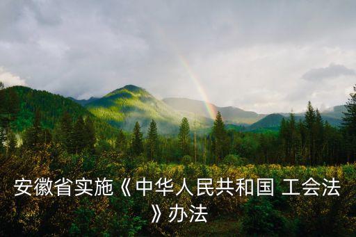 安徽省實施《中華人民共和國 工會法》辦法