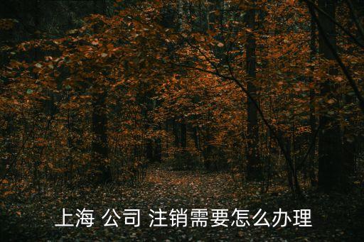 上海公司注銷