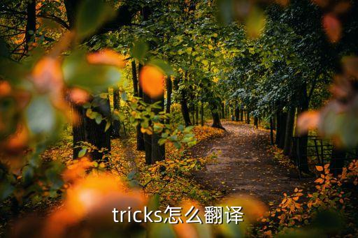 tricks怎么翻譯
