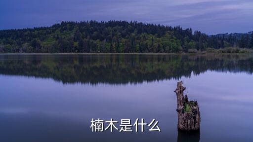 楠木是什么