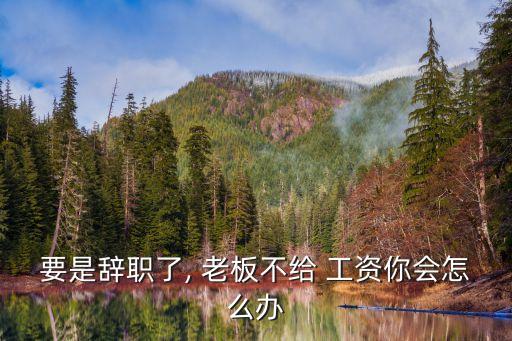 員工不干了老板不發(fā)工資怎么辦,勞動局24小時在線咨詢