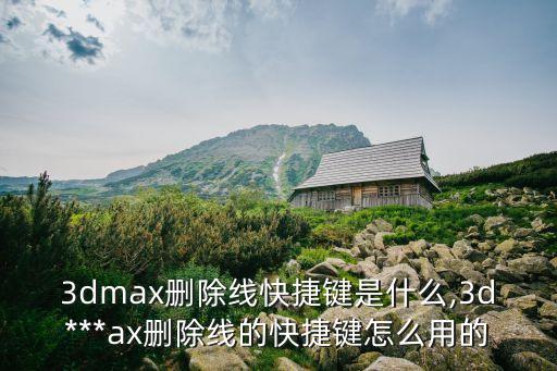trims,TRIMS禁止的投資措施