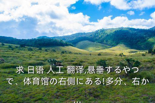 求 日語 人工 翻譯,懸垂するやつで、體育館の右側(cè)にある!多分、右か...