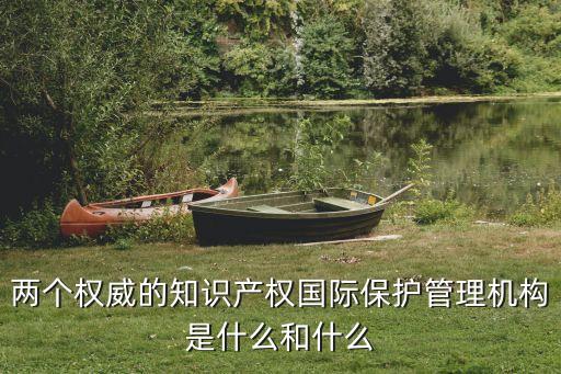 兩個權(quán)威的知識產(chǎn)權(quán)國際保護管理機構(gòu)是什么和什么