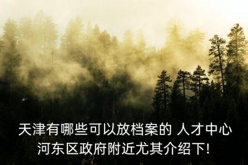 天津有哪些可以放檔案的 人才中心河?xùn)|區(qū)政府附近尤其介紹下!