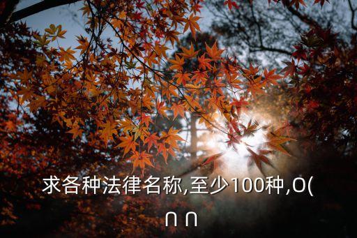 中國法律法規(guī)英文版