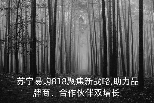 蘇寧0元購,蘇寧任性貸