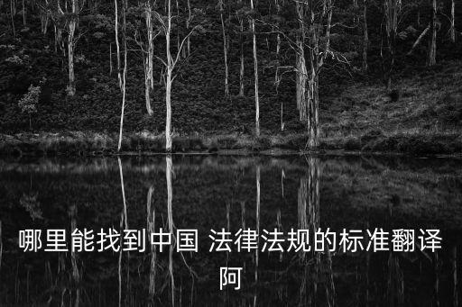 哪里能找到中國 法律法規(guī)的標準翻譯阿