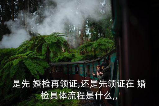 是先 婚檢再領(lǐng)證,還是先領(lǐng)證在 婚檢具體流程是什么,,