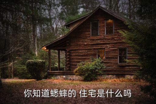 什么的住宅,超高層住宅是指什么的住宅